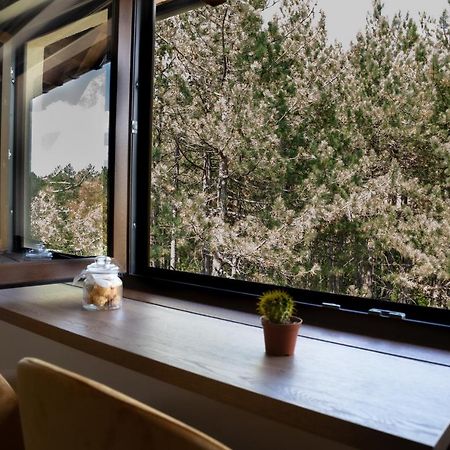 Zlatibor Apartman & Spa Casa Perfetta Екстер'єр фото